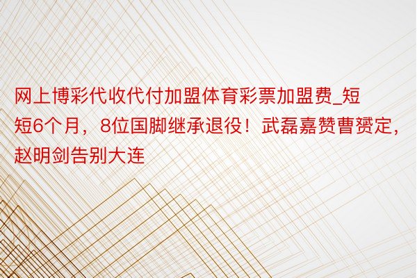 网上博彩代收代付加盟体育彩票加盟费_短短6个月，8位国脚继承退役！武磊嘉赞曹赟定，赵明剑告别大连